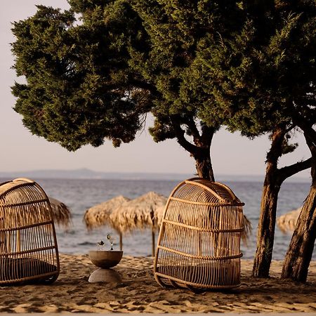 Cove Paros Hotel เนาซา ภายนอก รูปภาพ