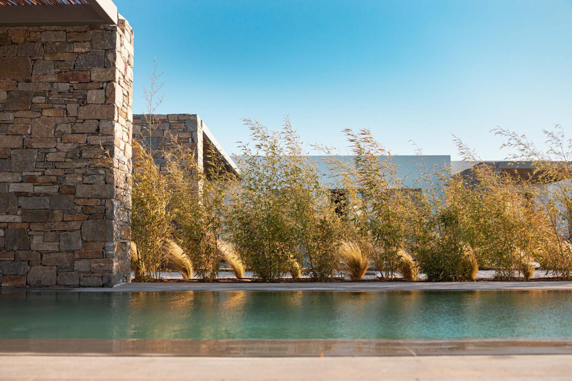 Cove Paros Hotel เนาซา ภายนอก รูปภาพ